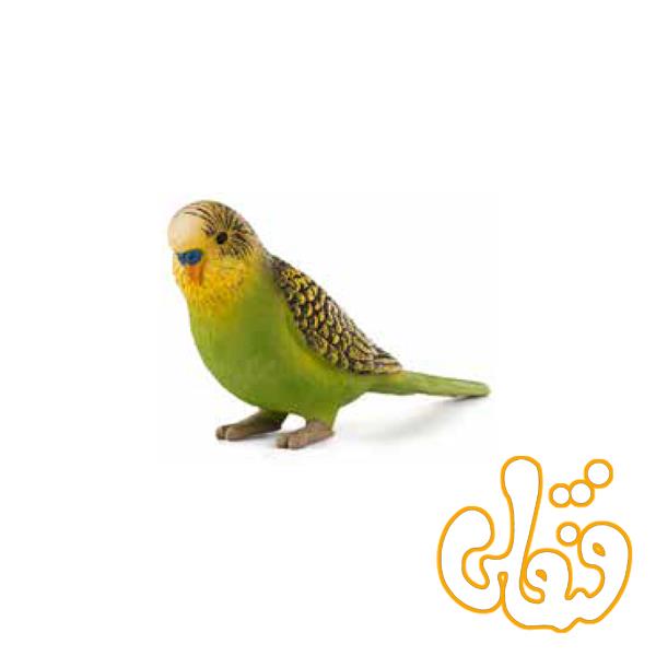 مرغ عشق سبز Budgerigar Green 387262